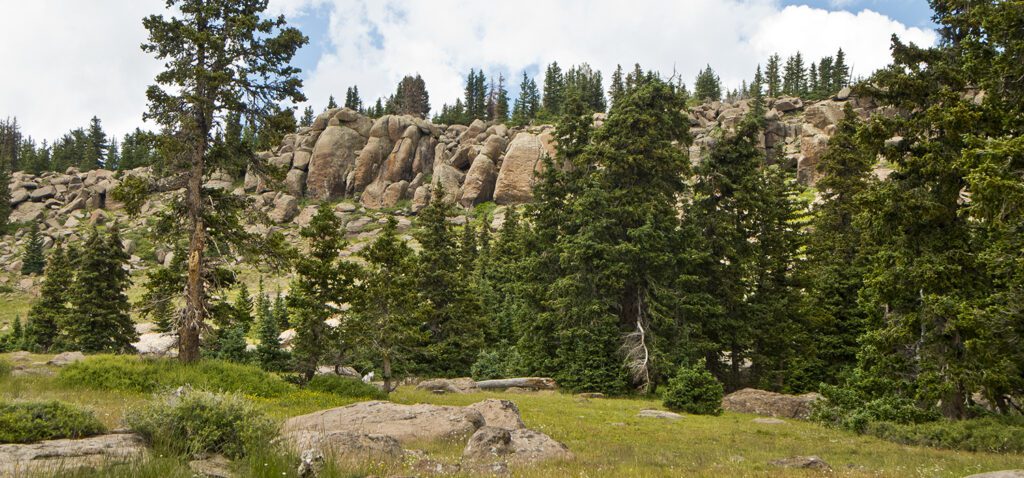 Pine trees against rocky cliffs on the Fishlake Hightop Trail