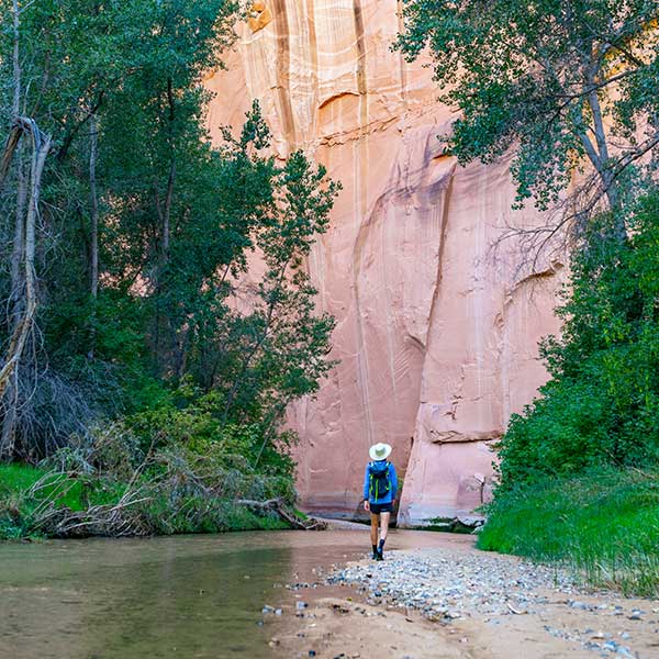 A figure walks along the Escalante River surrounded by green trees and red cliff walls