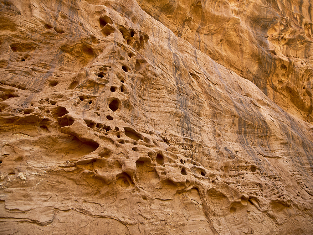 A close-up of the textured, pocketed sandstone