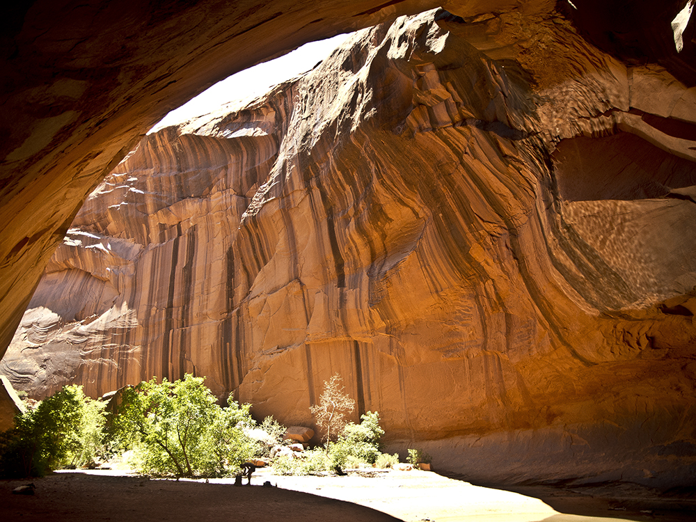 The curve of a sandstone archive frames the opposite canyon wall, with desert varnish painting dark strips on the wall.