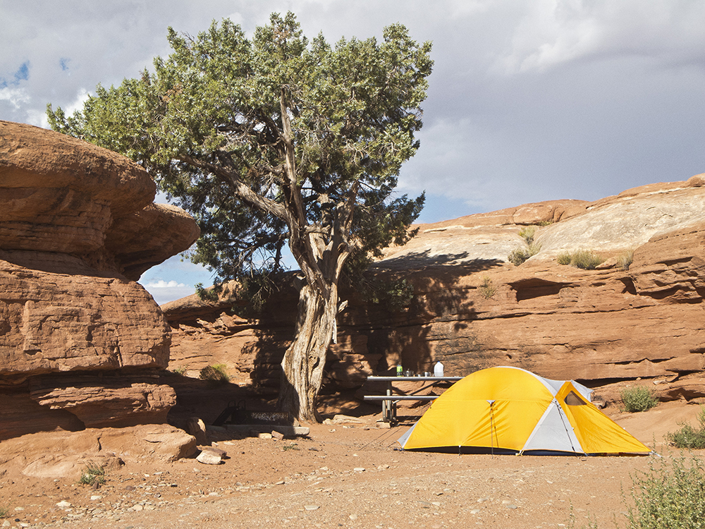 A yellow tent next to rock outcrops and a pinyon pine tree at Hamburger Rock Campground