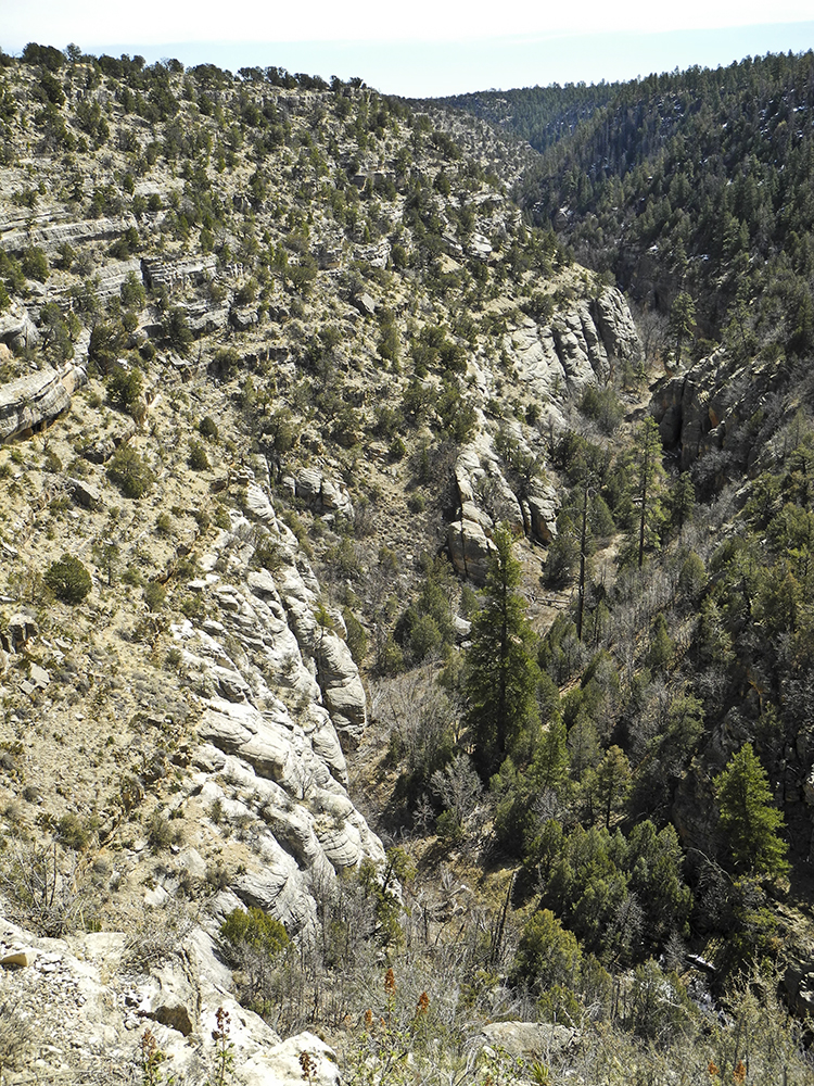 View of Walnut Canyon