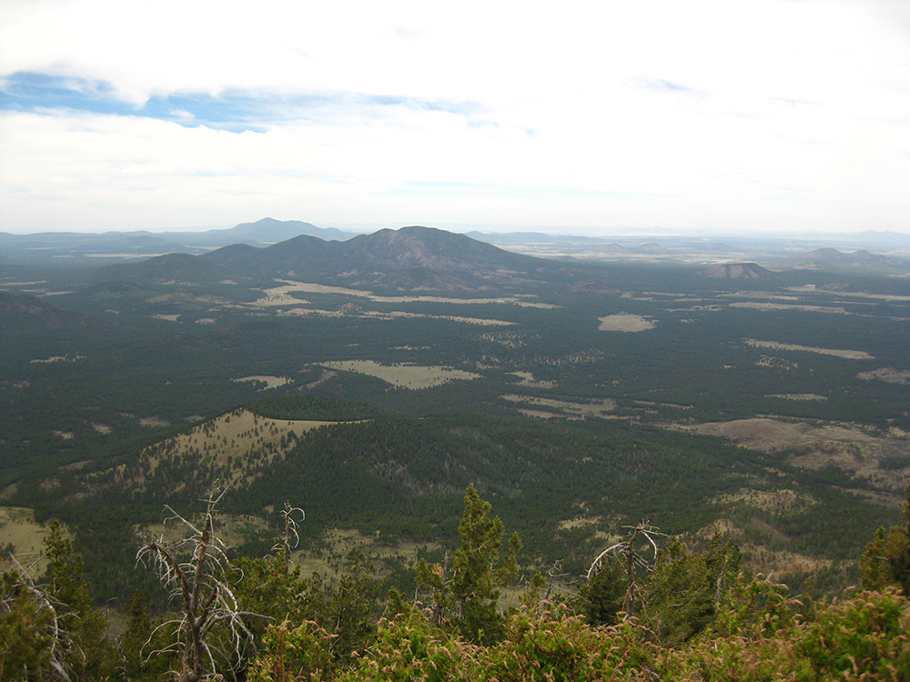 The view of cinder cones from the top of Kendrick Peak
