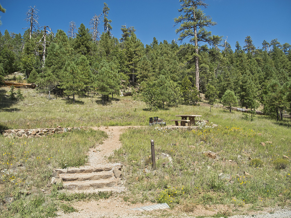a campsite on the hill side at Lakeview Campground