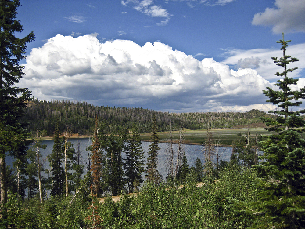 Navajo Lake with billowy white clouds overhead