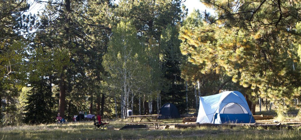 A campsite with a blue and white tent next to aspen trees, and pine trees at the North Rim Campground