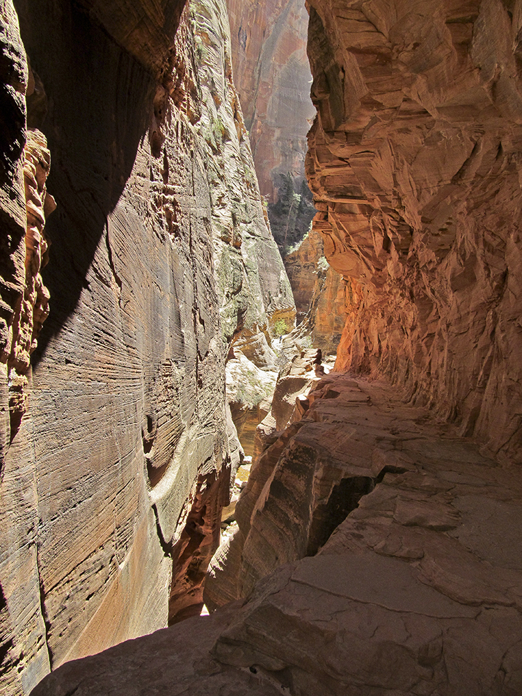 A narrow sandstone canyon