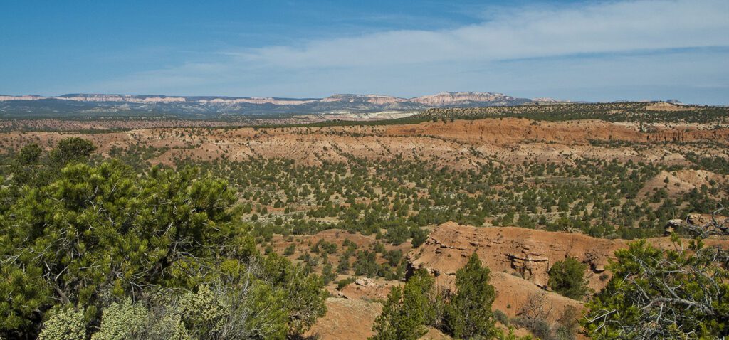 Red rocks speckled with pinyon and juniper trees
