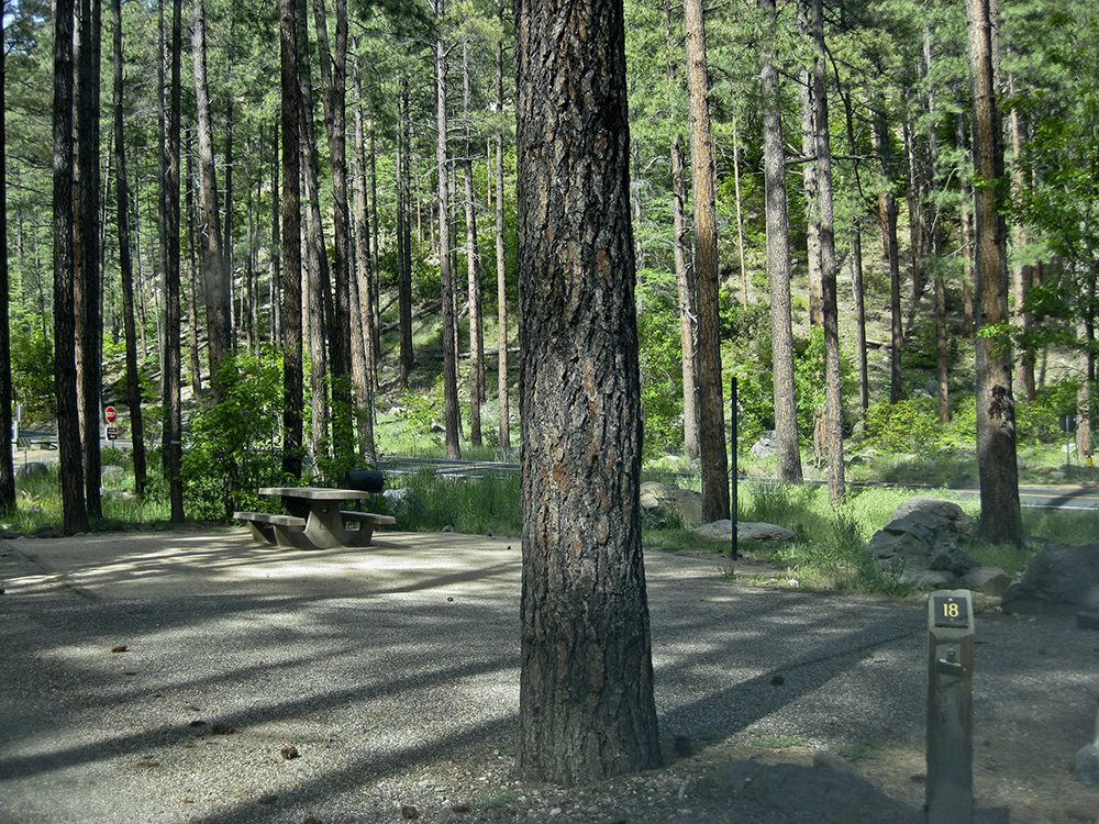 An empty site in Pine Flat Campground