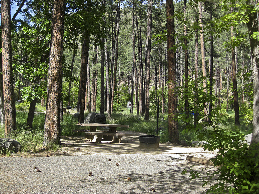 An empty site with picnic table and metal fire ring surrounded by trees in Pine Flat Campground
