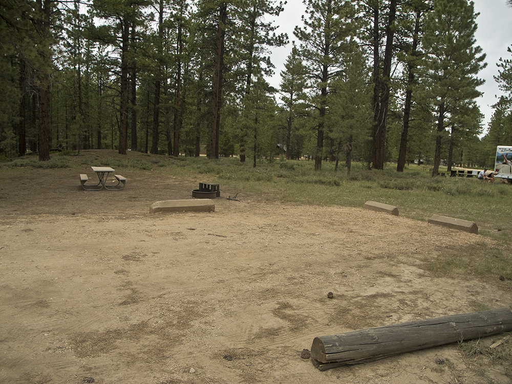 A flat gravel campsite at Sunset campground