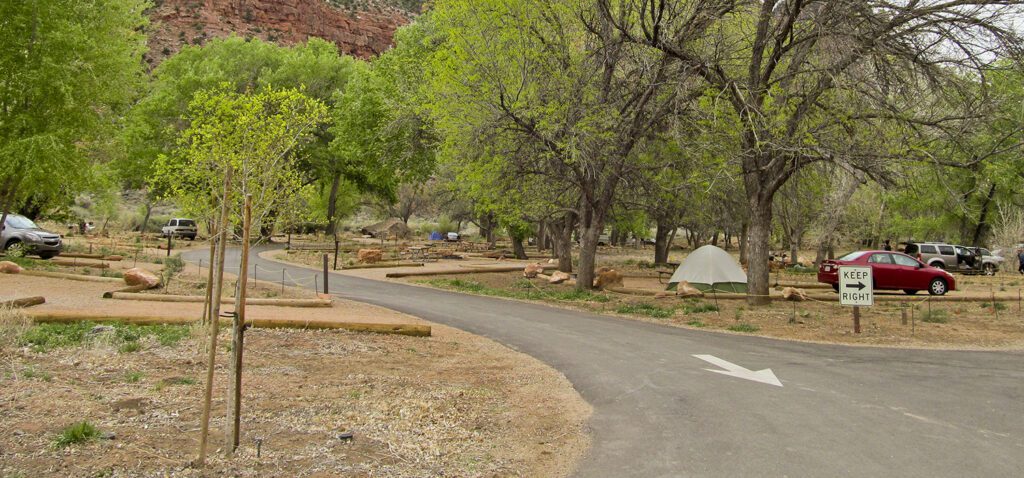 A tent underneath a cottonwoods tree in the campground
