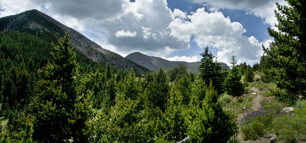A view of the San Francsico Peaks, with the trail leading to Fremont Saddle