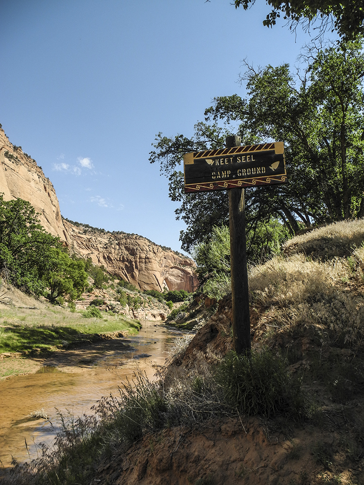 Keet Seel campground along a creek in a canyon