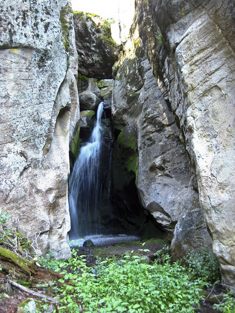 A small waterfall pours down grey rocks, with bright green plants at the bottom