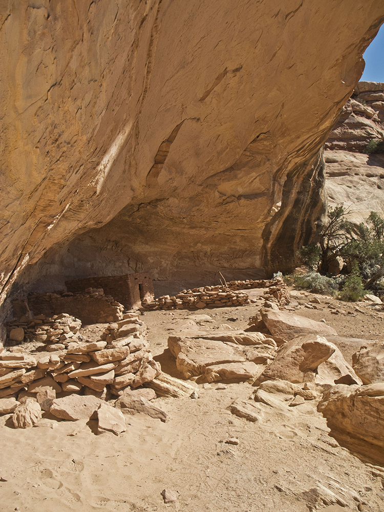 An archaeological site in an alcove along the Bullet Canyon Trail
