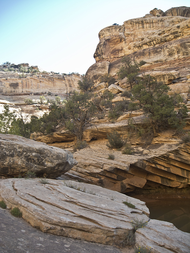 Sandstone boulders fill in the canyon floor of Bullet Canyon