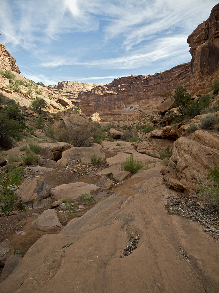 The canyon bottom filled with rocks, sand, and slickrock