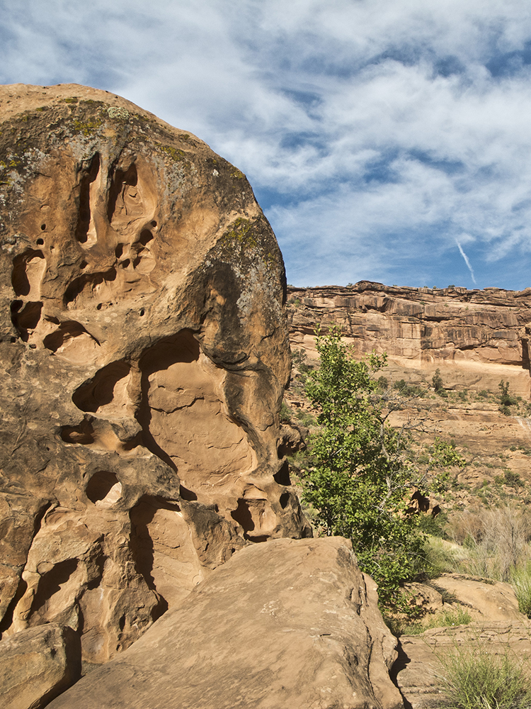 Pocketed sandstone
