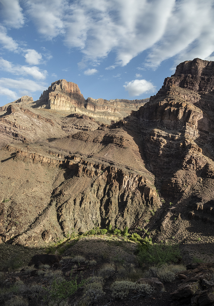 Grand Canyon cliffs with a ribbon of green along a creek