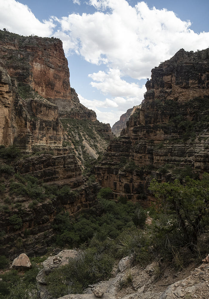 A redwall tributary in the Grand Canyon