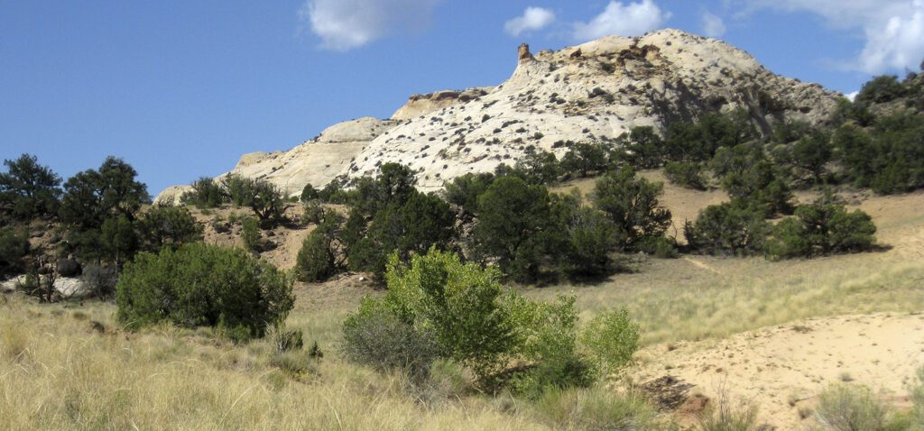 White Navajo Sandstone domes