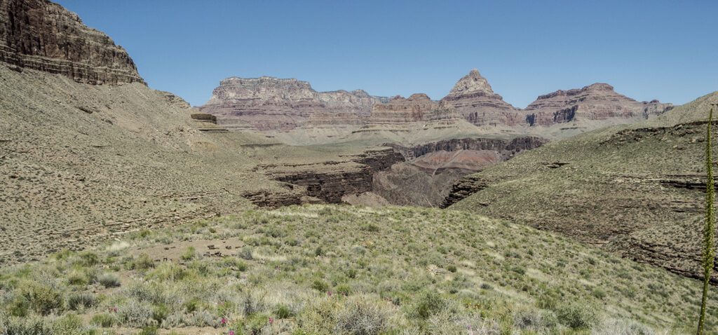 A view of the flat Tonto Platform, made of a light green shale.