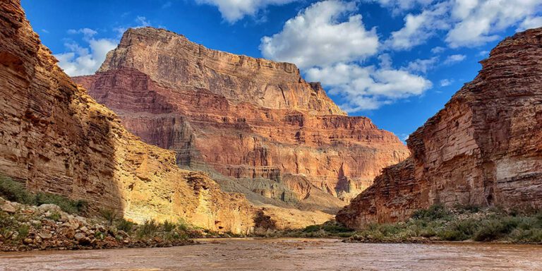 Muddy Colorado River with golden cliffs all around.