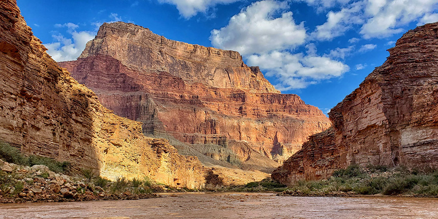 Muddy Colorado River with golden cliffs all around.