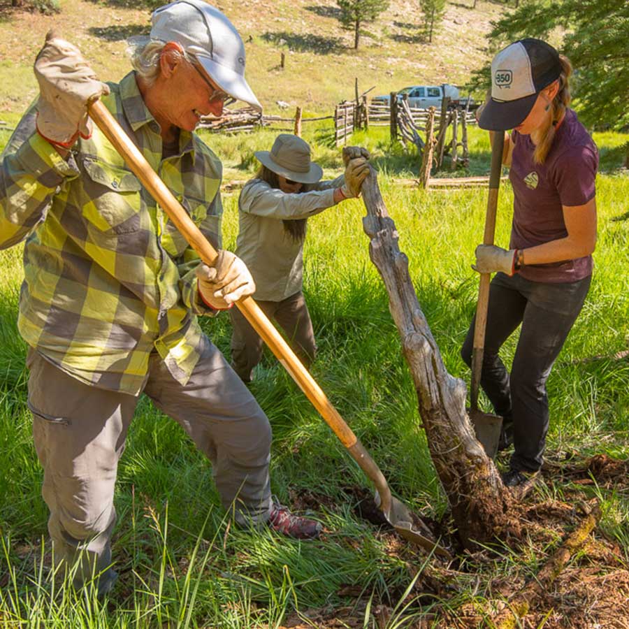 Three volunteers wearing work gloves dig in a new fence post in a lush green meadow