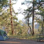 Green tent beside a picnic table under large ponderosa pine trees on the edge of the Grand Canyon, north rim