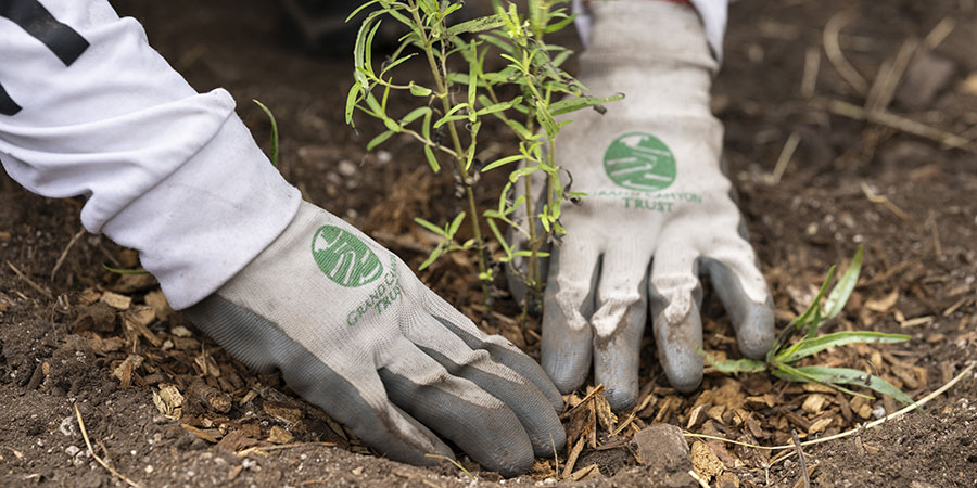 Garden-gloved hands pack in dirt surrounding a plant start.