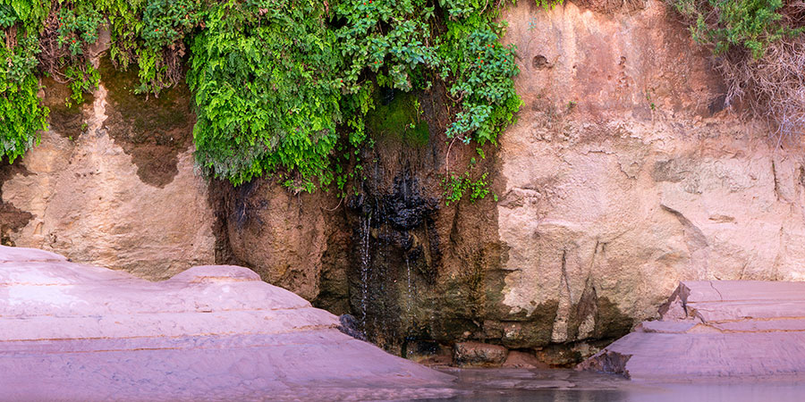 A small stream of water trickles down a rocky, sandy cliff partially covered with green foliage, flowing into a shallow pool below.