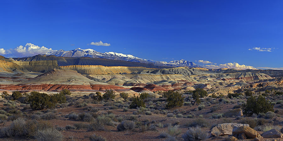 Colorful layered rock formations and sparse vegetation in a desert landscape, with snow-capped mountains in the background under a clear blue sky.