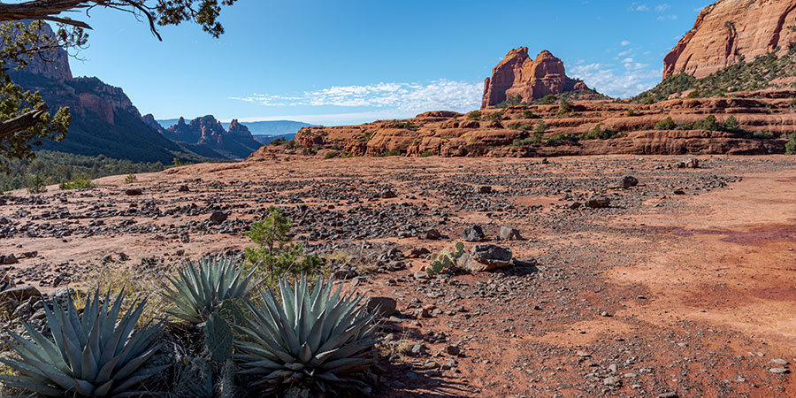 Desert landscape with red rock formations, sparse vegetation, agave plants in the foreground, and a clear blue sky.