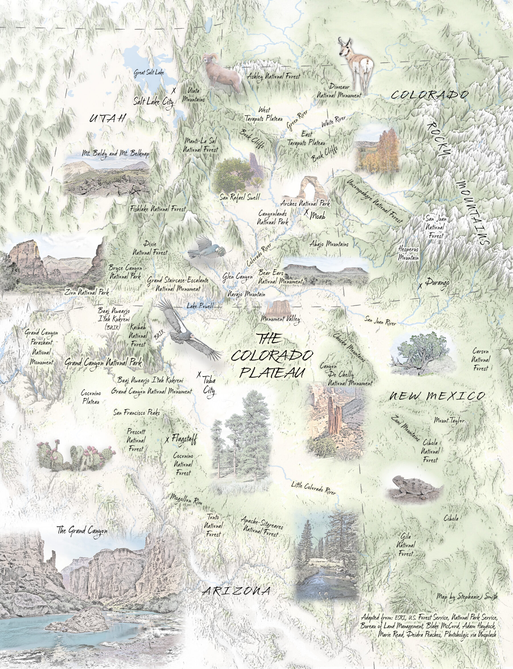 Illustrated map of the Colorado Plateau showing major landmarks, animals, and vegetation across regions of Utah, Colorado, New Mexico, and Arizona.