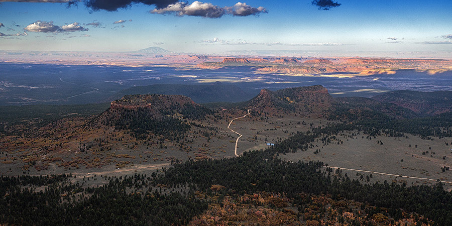 Aerial view of two flat-topped mesas in Bears Ears National Monument, surrounded by forest, with a winding dirt road and distant mountains under a partly cloudy sky.