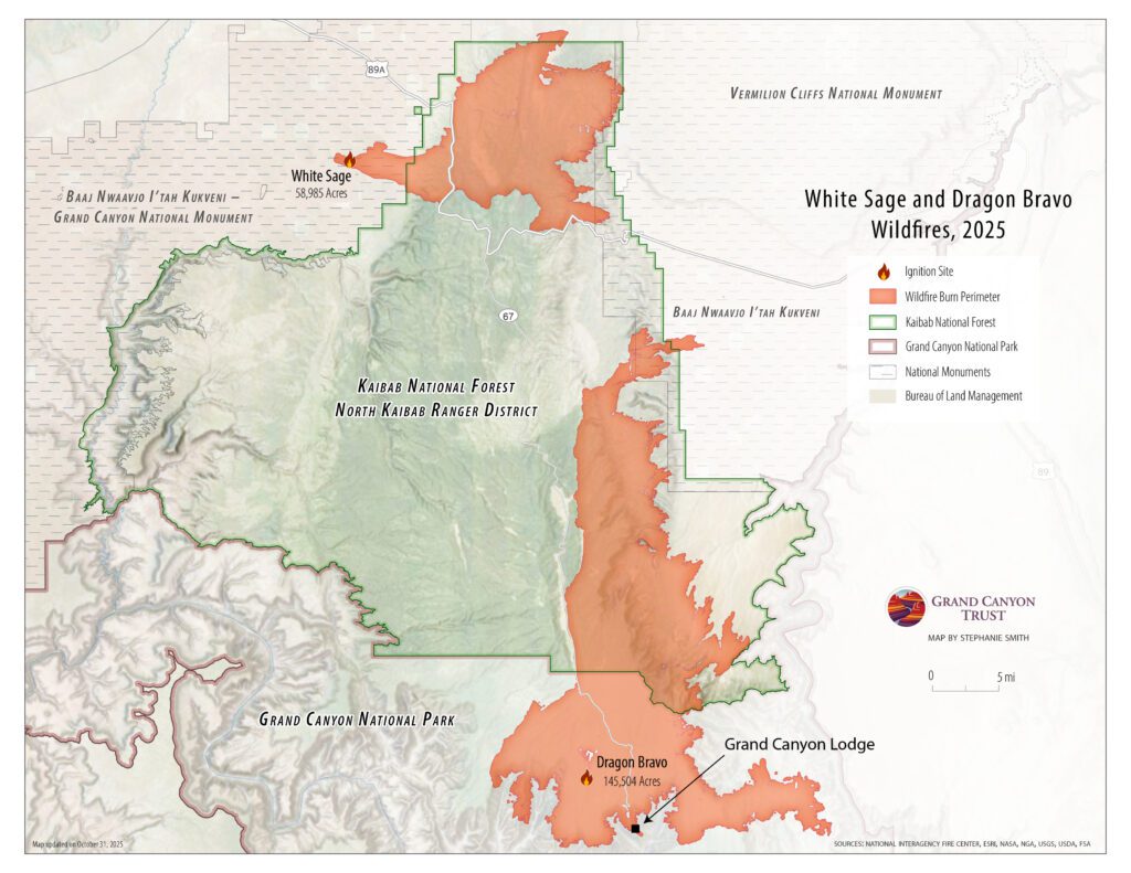 Dragon Bravo Fire Map showing the locations and burn perimeters of the White Sage and Dragon Bravo wildfires in 2025 near Grand Canyon National Park and Kaibab National Forest, with affected areas shaded in orange.