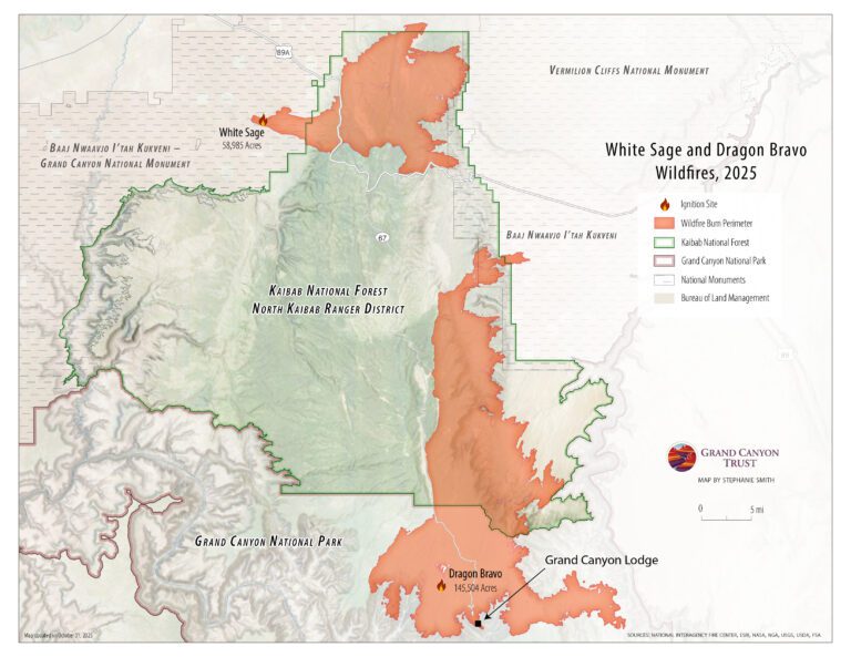 Dragon Bravo Fire Map showing the locations and burn perimeters of the White Sage and Dragon Bravo wildfires in 2025 near Grand Canyon National Park and Kaibab National Forest, with affected areas shaded in orange.