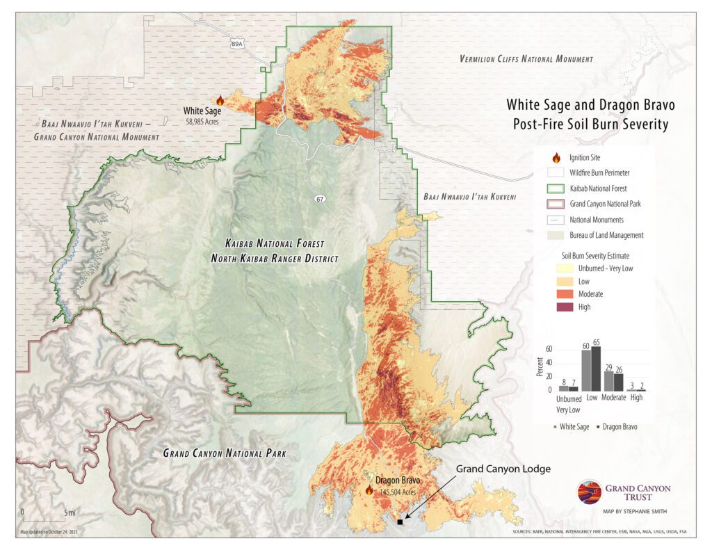 Map depicting burn severity on north rum of Grand Canyon for White Sage and Dragon Bravo areas, showing soil burn levels from unburned to high, with key landmarks and boundaries clearly labeled.