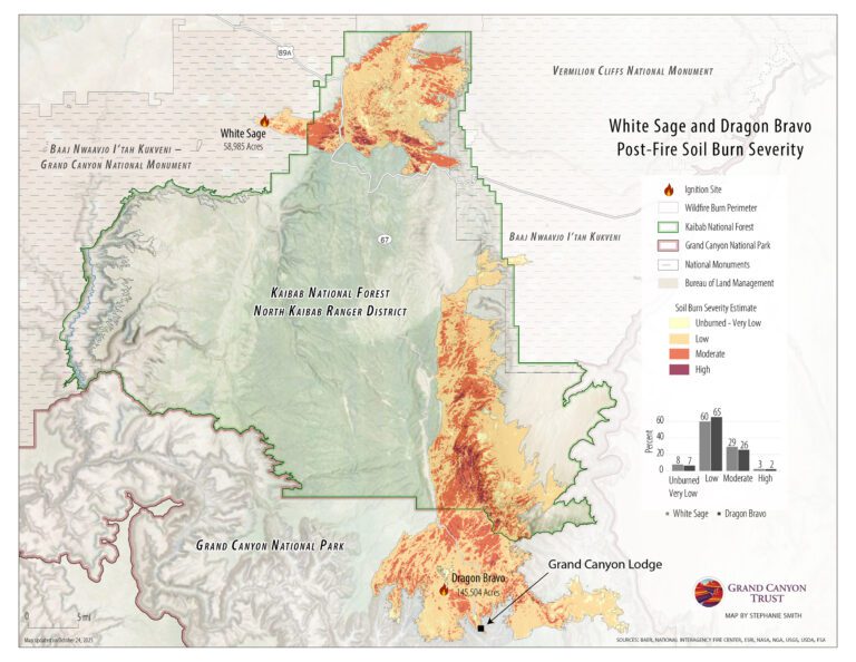 Map depicting burn severity on north rum of Grand Canyon for White Sage and Dragon Bravo areas, showing soil burn levels from unburned to high, with key landmarks and boundaries clearly labeled.