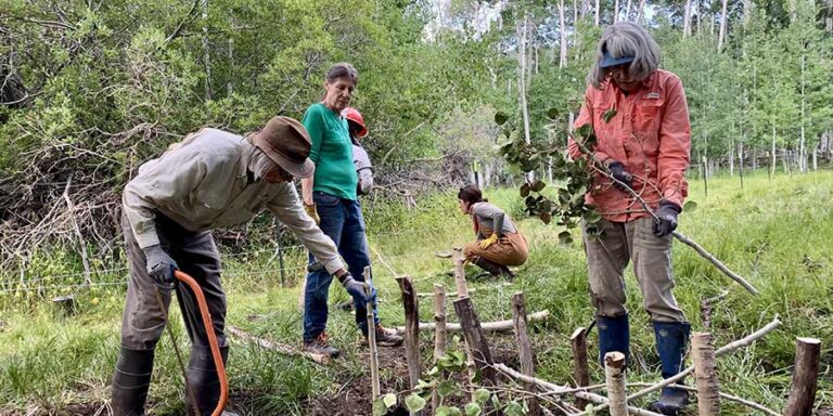 Four people work together outdoors building a small wooden structure with logs and branches in a grassy, forested area.