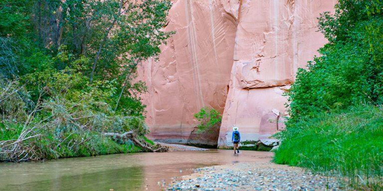 A person wearing a backpack walks along a shallow stream near tall, pinkish rock cliffs surrounded by green trees and lush vegetation.