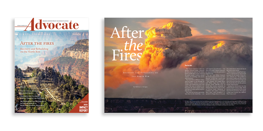 Magazine cover and feature spread titled "After the Fires," showing a forest landscape and a large cloud of smoke rising over a canyon at sunset.