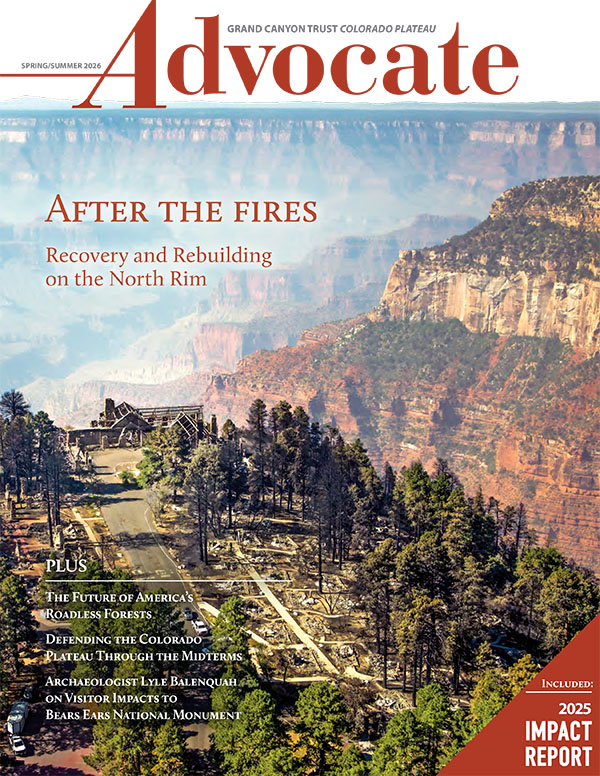 Aerial view of a burned forest area near the Grand Canyon's North Rim featured on the cover of the Grand Canyon Trust's Advocate Magazine with headlines about fire recovery and conservation.