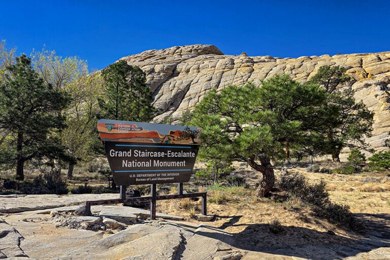 A sign for Grand Staircase-Escalante National Monument stands on rocky ground with trees and layered rock formations in the background under a clear blue sky.
