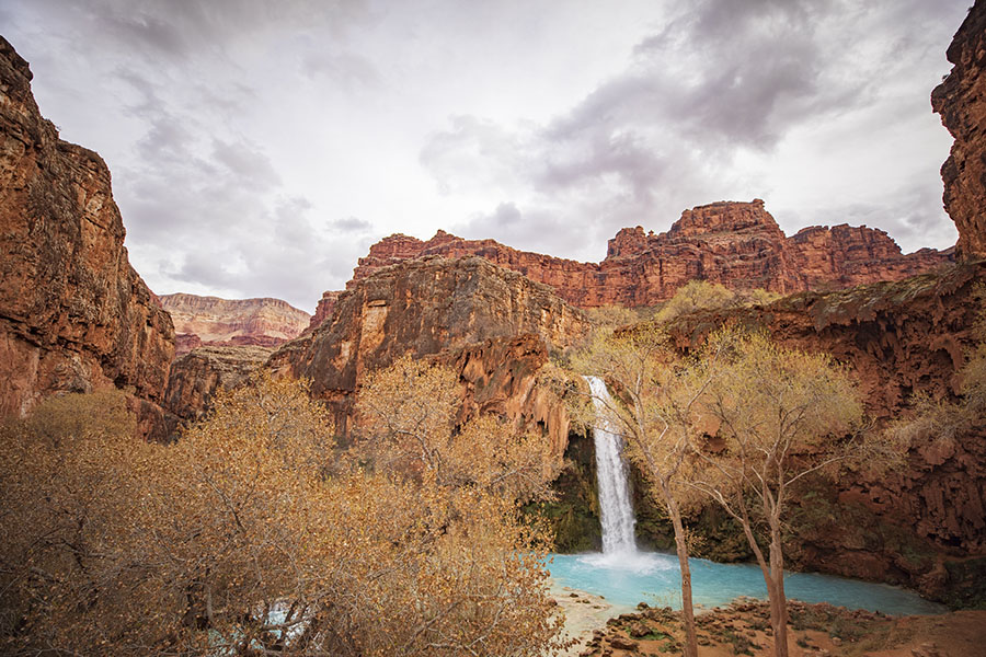 A waterfall flows into a turquoise pool surrounded by red rock cliffs and sparse trees under a cloudy sky at the bottom of the Grand Canyon.