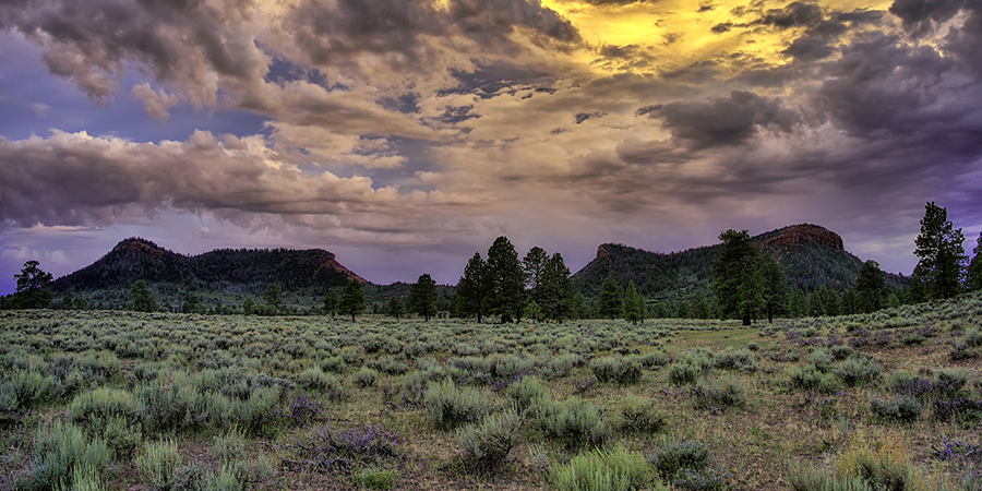 Open grassland with scattered shrubs and trees, three mesas in the distance, and a dramatic cloudy sky at sunset.