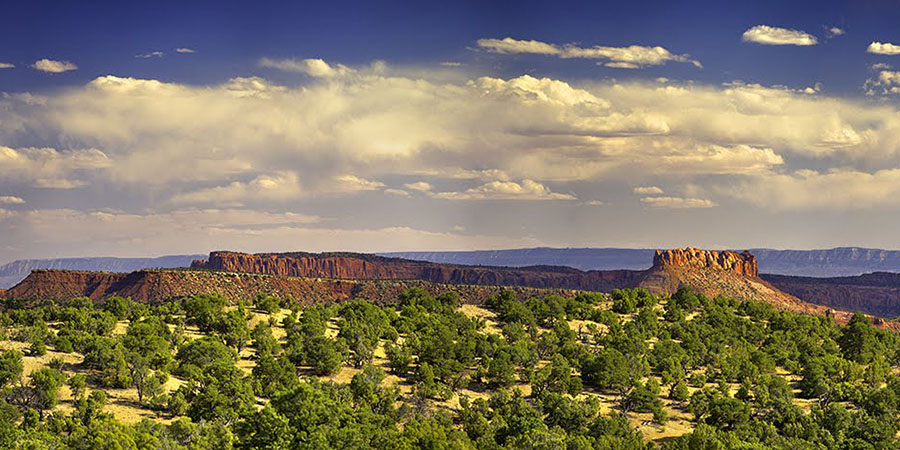 Scenic view of mesas and plateaus with scattered green trees under a partly cloudy sky in a southwestern desert landscape, reminiscent of the striking visuals often featured in press releases highlighting the region’s natural beauty.