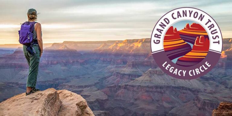 A person wearing a backpack stands on a rock overlooking the Grand Canyon at sunset, inspired by the passion of those who support conservation through a donor-advised fund. A Grand Canyon Trust Legacy Circle logo is on the right side of the image.